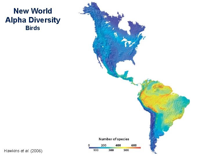 New World Alpha Diversity Birds Hawkins et al. (2006) 