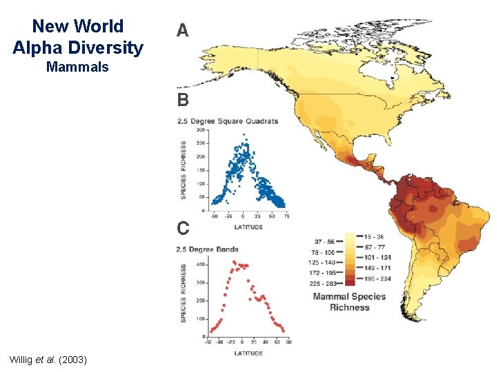 New World Alpha Diversity Mammals Willig et al. (2003) 