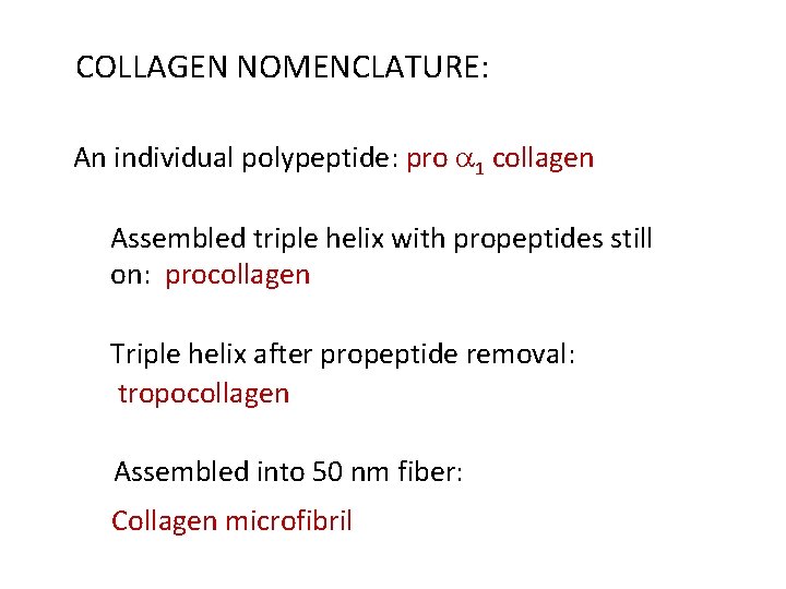 COLLAGEN NOMENCLATURE: An individual polypeptide: pro a 1 collagen Assembled triple helix with propeptides