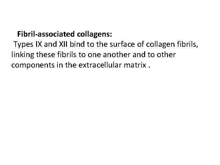 Fibril-associated collagens: Types IX and XII bind to the surface of collagen fibrils, linking