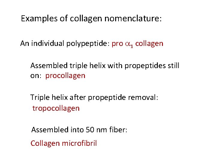 Examples of collagen nomenclature: An individual polypeptide: pro a 1 collagen Assembled triple helix