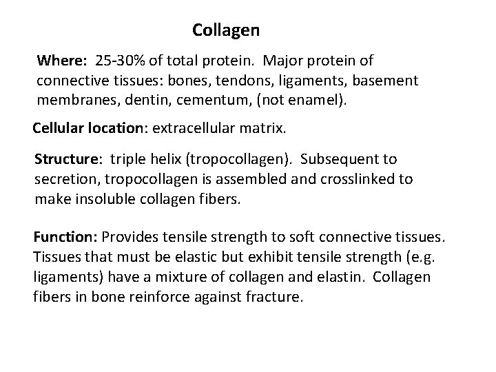 Collagen Where: 25 -30% of total protein. Major protein of connective tissues: bones, tendons,