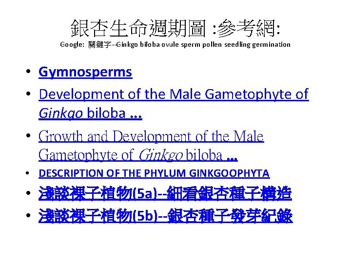 銀杏生命週期圖 : 參考網: Google: 關鍵字--Ginkgo biloba ovule sperm pollen seedling germination • Gymnosperms •