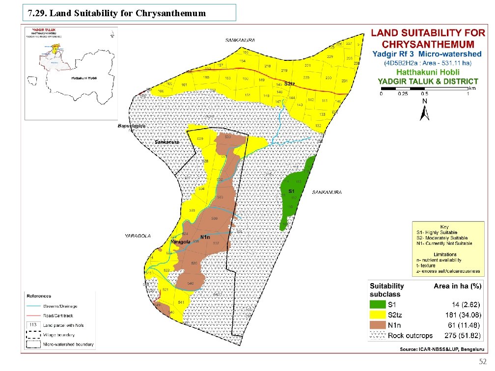 7. 29. Land Suitability for Chrysanthemum 52 