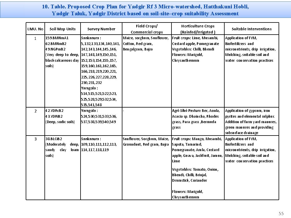 10. Table. Proposed Crop Plan for Yadgir Rf 3 Micro-watershed, Hatthakuni Hobli, Yadgir Taluk,