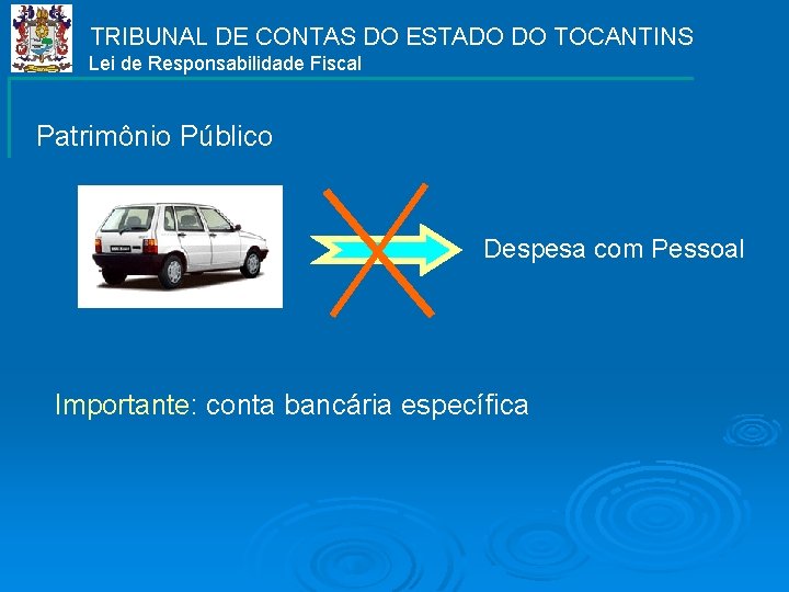 TRIBUNAL DE CONTAS DO ESTADO DO TOCANTINS Lei de Responsabilidade Fiscal Patrimônio Público Despesa