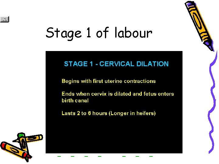 Stage 1 of labour Slide 5 of 56 