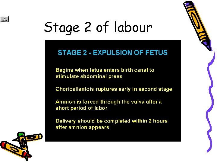  Stage 2 of labour Slide 7 of 56 