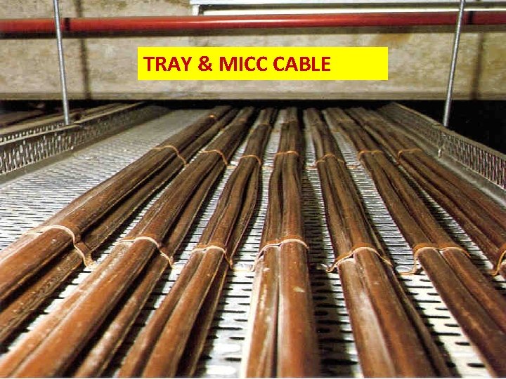 TRAY & MICC CABLE 2/26/2021 IKRAM 52 
