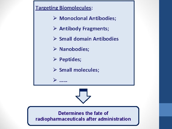 Targeting Biomolecules: Ø Monoclonal Antibodies; Ø Antibody Fragments; Ø Small domain Antibodies Ø Nanobodies;