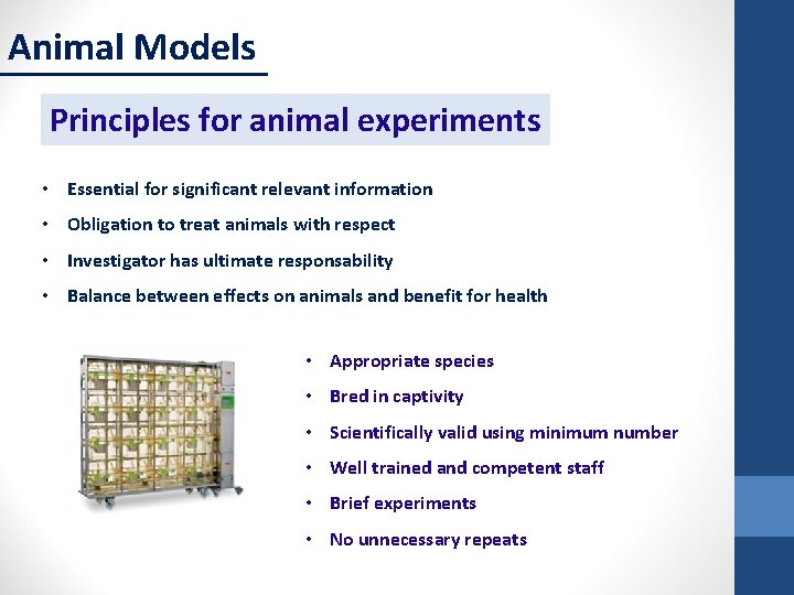 Animal Models Principles for animal experiments • Essential for significant relevant information • Obligation