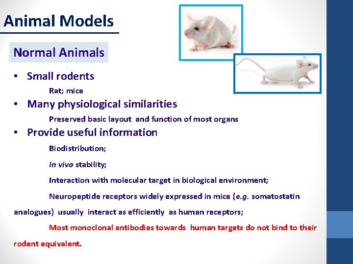 Animal Models Normal Animals • Small rodents Rat; mice • Many physiological similarities Preserved