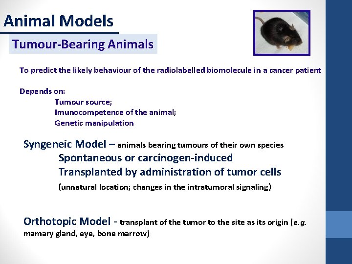 Animal Models Tumour-Bearing Animals To predict the likely behaviour of the radiolabelled biomolecule in