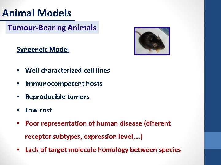 Animal Models Tumour-Bearing Animals Syngeneic Model • Well characterized cell lines • Immunocompetent hosts