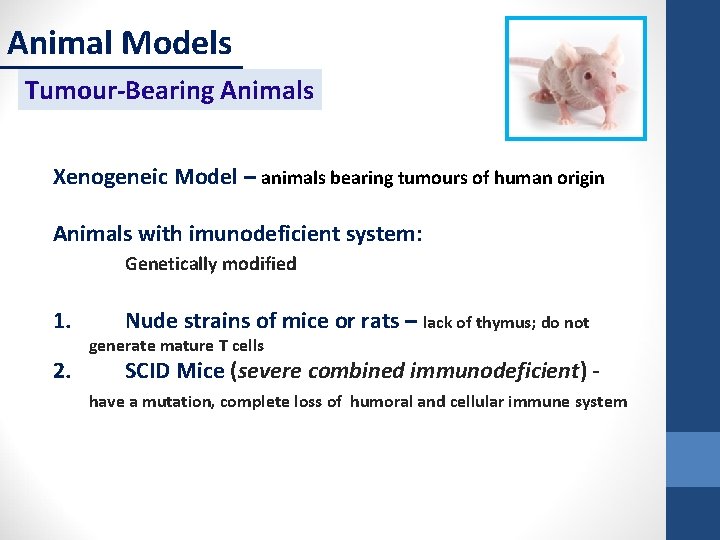 Animal Models Tumour-Bearing Animals Xenogeneic Model – animals bearing tumours of human origin Animals
