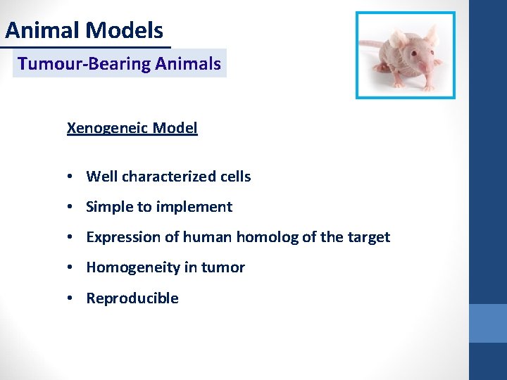 Animal Models Tumour-Bearing Animals Xenogeneic Model • Well characterized cells • Simple to implement