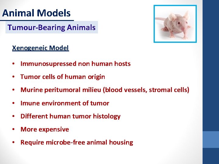 Animal Models Tumour-Bearing Animals Xenogeneic Model • Immunosupressed non human hosts • Tumor cells
