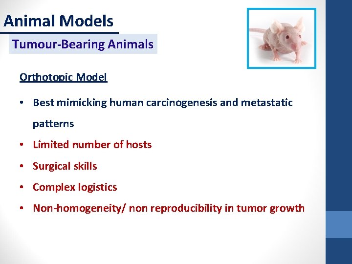 Animal Models Tumour-Bearing Animals Orthotopic Model • Best mimicking human carcinogenesis and metastatic patterns