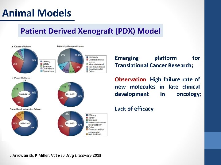 Animal Models Patient Derived Xenograft (PDX) Model Emerging platform for Translational Cancer Research; Observation: