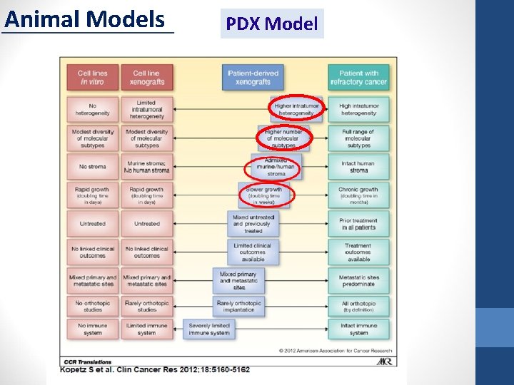 Animal Models PDX Model 
