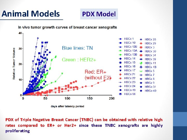Animal Models PDX Model PDX of Triple Negative Breast Cancer (TNBC) can be obtained