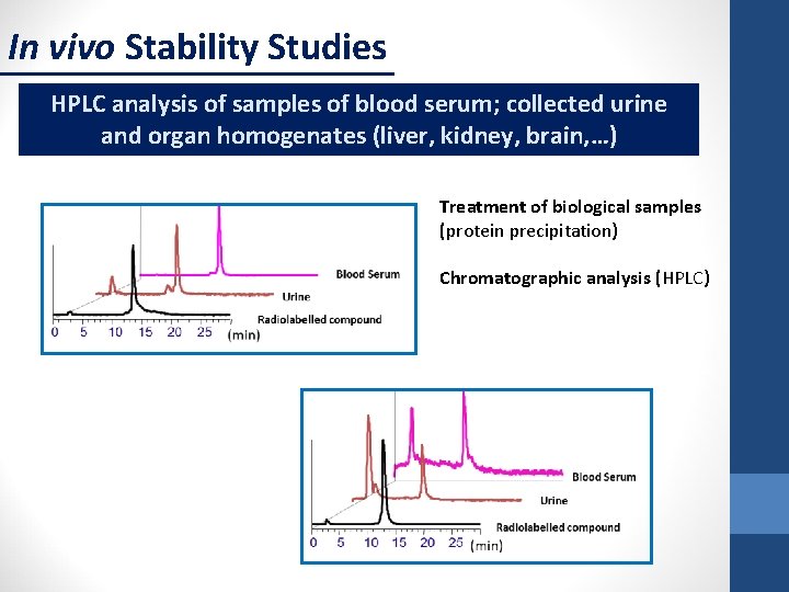 In vivo Stability Studies HPLC analysis of samples of blood serum; collected urine and