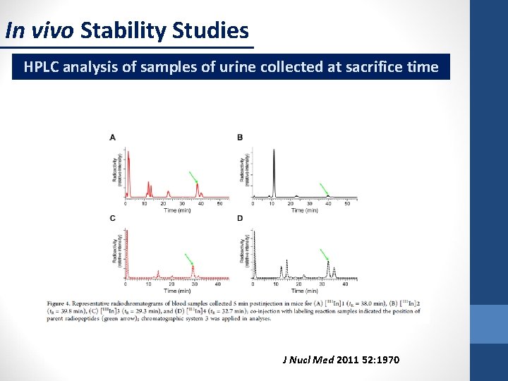 In vivo Stability Studies HPLC analysis of samples of urine collected at sacrifice time
