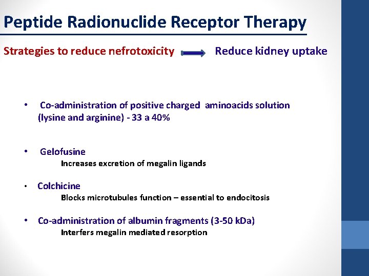 Peptide Radionuclide Receptor Therapy Strategies to reduce nefrotoxicity Reduce kidney uptake • Co-administration of