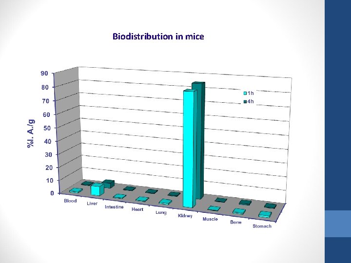 Biodistribution in mice 