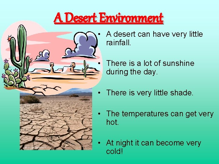 A Desert Environment • A desert can have very little rainfall. • There is