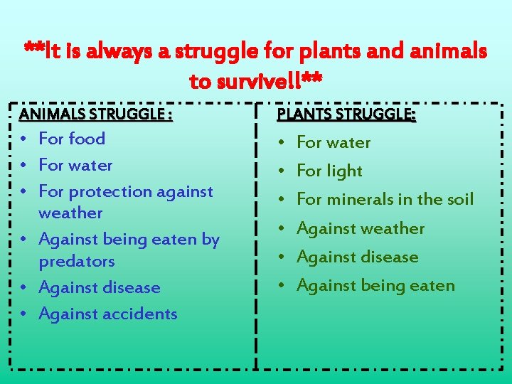 **It is always a struggle for plants and animals to survive!!** ANIMALS STRUGGLE :