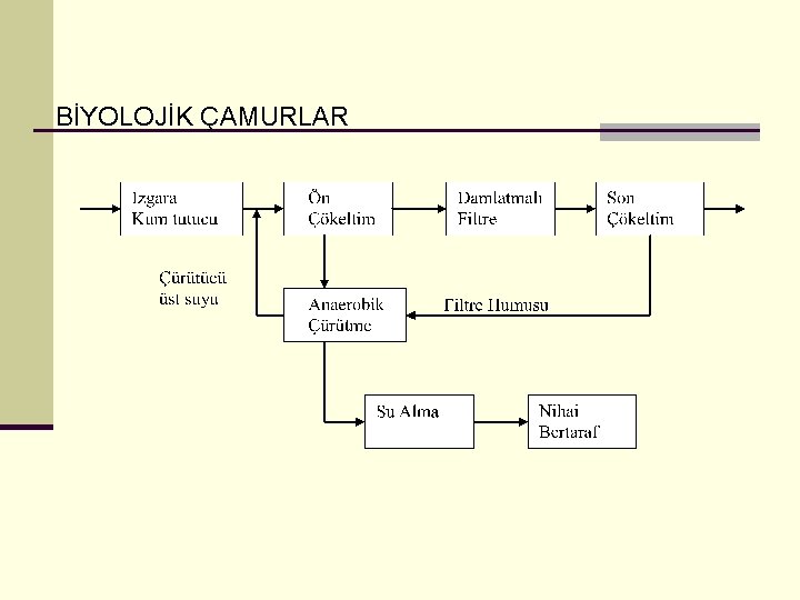 BİYOLOJİK ÇAMURLAR 