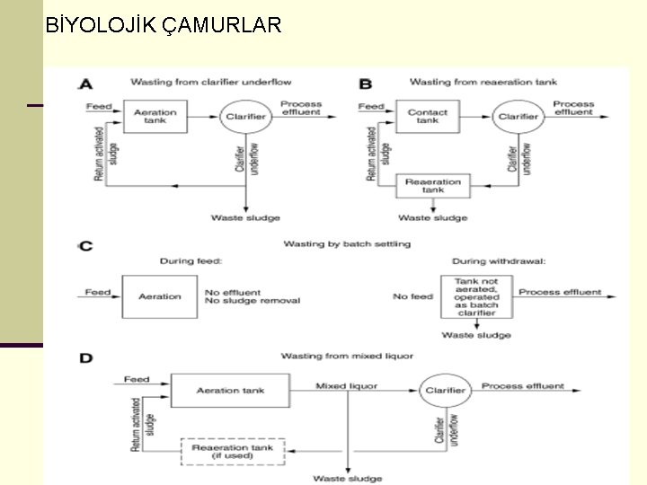 BİYOLOJİK ÇAMURLAR 