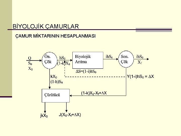 BİYOLOJİK ÇAMURLAR ÇAMUR MİKTARININ HESAPLANMASI 