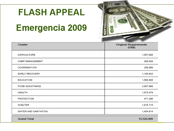 FLASH APPEAL Emergencia 2009 