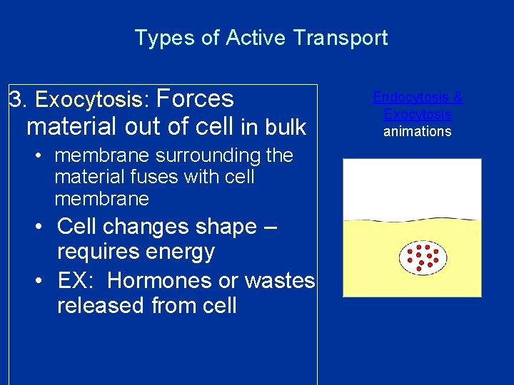 Types of Active Transport 3. Exocytosis: Forces material out of cell in bulk •