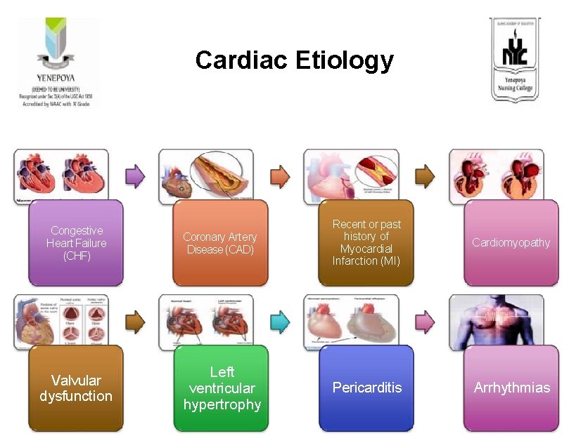 Cardiac Etiology Congestive Heart Failure (CHF) Valvular dysfunction Coronary Artery Disease (CAD) Recent or