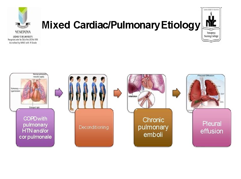 Mixed Cardiac/Pulmonary Etiology COPD with pulmonary HTN and/or cor pulmonale Deconditioning Chronic pulmonary emboli