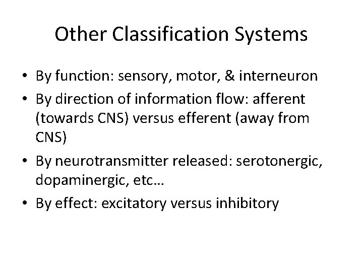 Other Classification Systems • By function: sensory, motor, & interneuron • By direction of