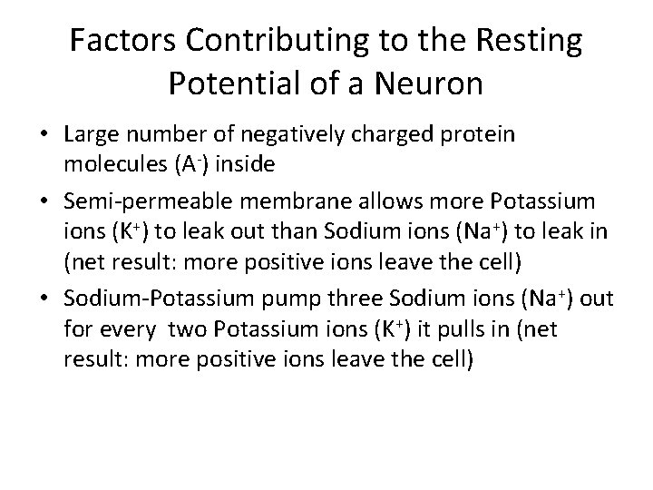 Factors Contributing to the Resting Potential of a Neuron • Large number of negatively