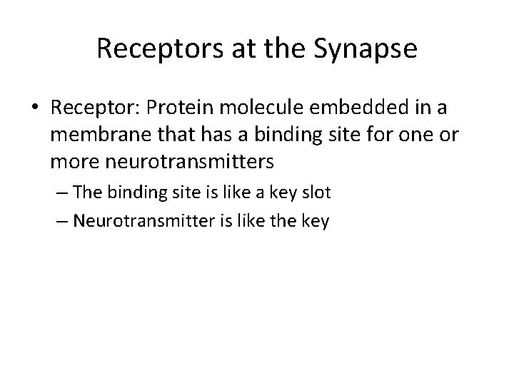 Receptors at the Synapse • Receptor: Protein molecule embedded in a membrane that has