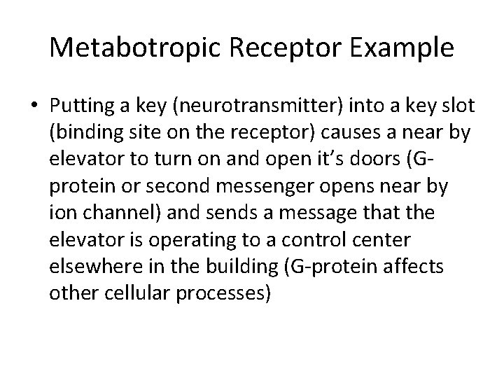 Metabotropic Receptor Example • Putting a key (neurotransmitter) into a key slot (binding site