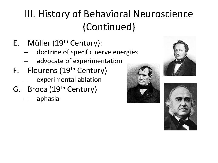 III. History of Behavioral Neuroscience (Continued) E. Müller (19 th Century): – – doctrine