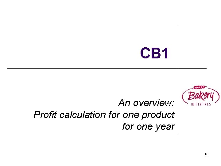 CB 1 An overview: Profit calculation for one product for one year 17 