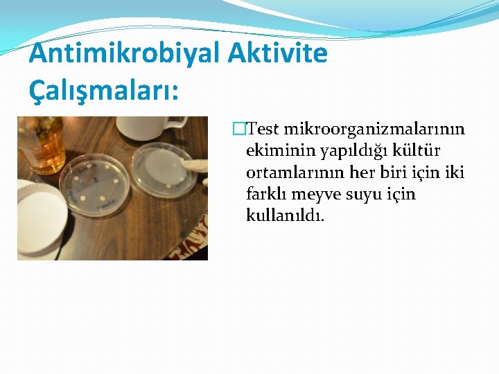 Antimikrobiyal Aktivite Çalışmaları: �Test mikroorganizmalarının ekiminin yapıldığı kültür ortamlarının her biri için iki farklı