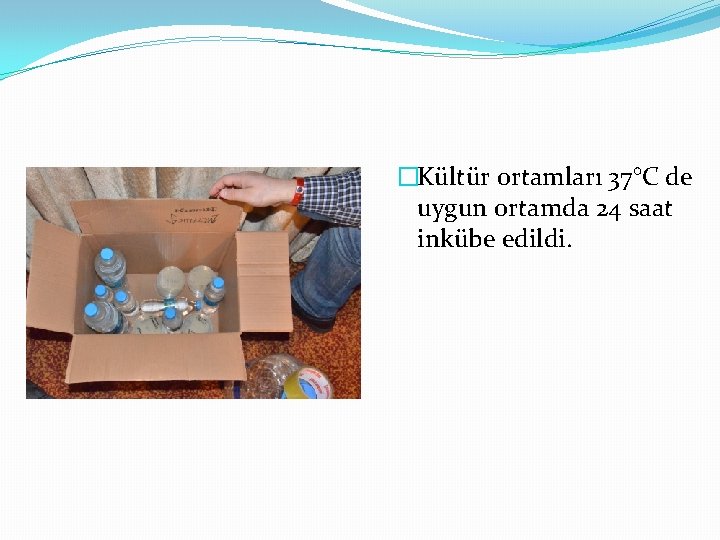 �Kültür ortamları 37°C de uygun ortamda 24 saat inkübe edildi. 