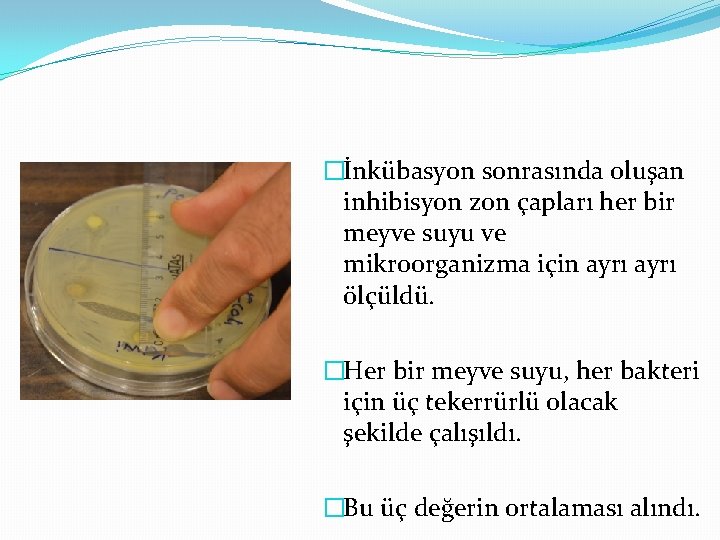 �İnkübasyon sonrasında oluşan inhibisyon zon çapları her bir meyve suyu ve mikroorganizma için ayrı