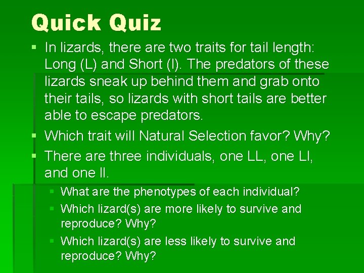 Quick Quiz § In lizards, there are two traits for tail length: Long (L)