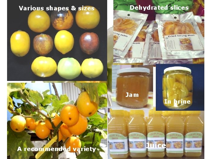 Various shapes & sizes Dehydrated slices Jam A recommended variety In brine Juice 