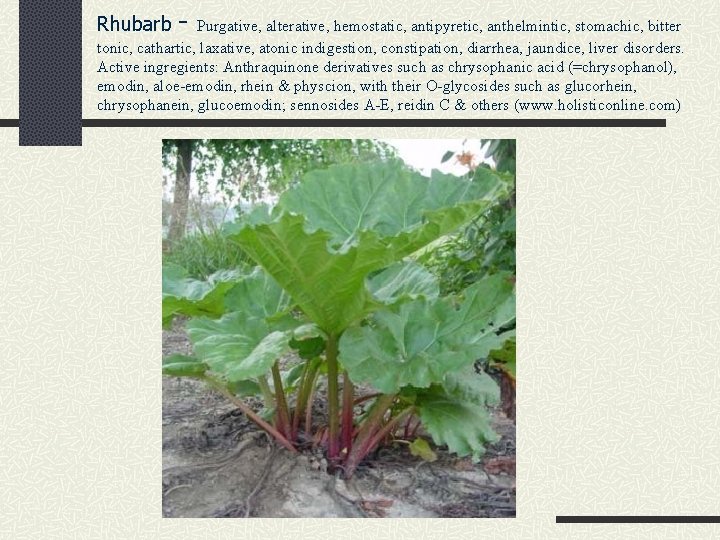 Rhubarb - Purgative, alterative, hemostatic, antipyretic, anthelmintic, stomachic, bitter tonic, cathartic, laxative, atonic indigestion,